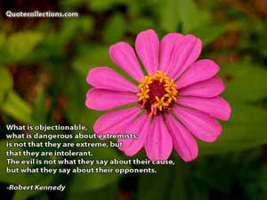 robert_kennedy_quotes Quotes 2